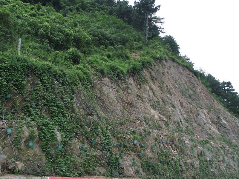 ���ӷ��oϵ�y(t��ng)